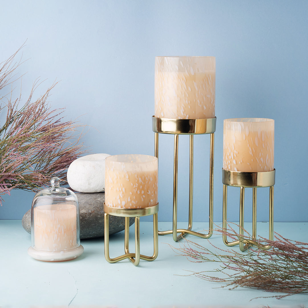 High Rise Collection