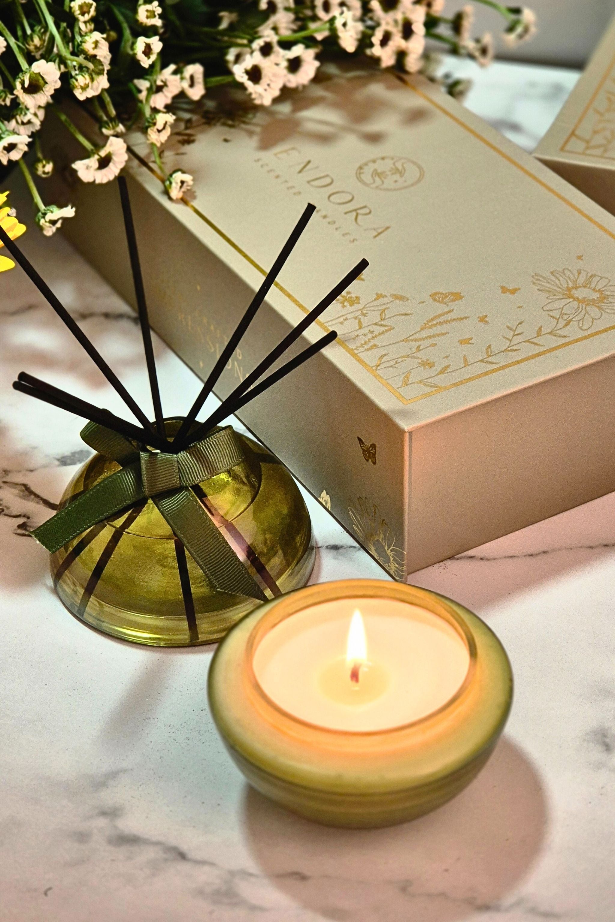 Monet's Set - Candle & Diffuser Duo | Olive Green | Eucalyptus balsam